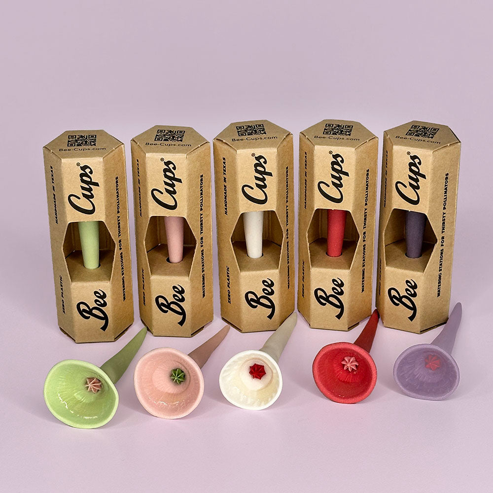 Galentine's Singles 5-pack – Bee Cups
