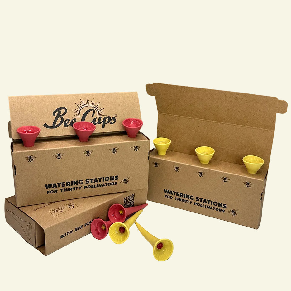 Power Bundle 6-pack – Bee Cups