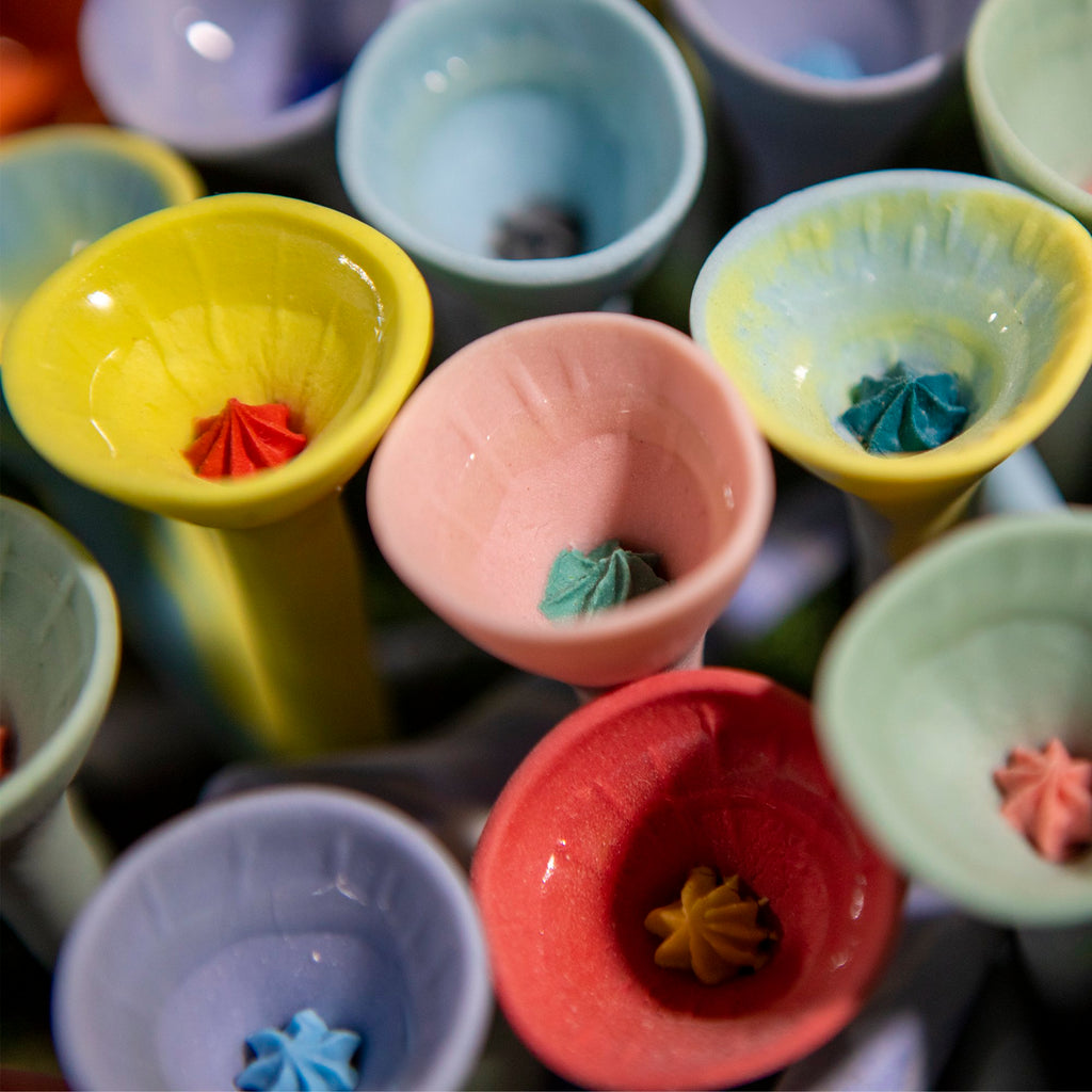 Pastel Variety Oasis