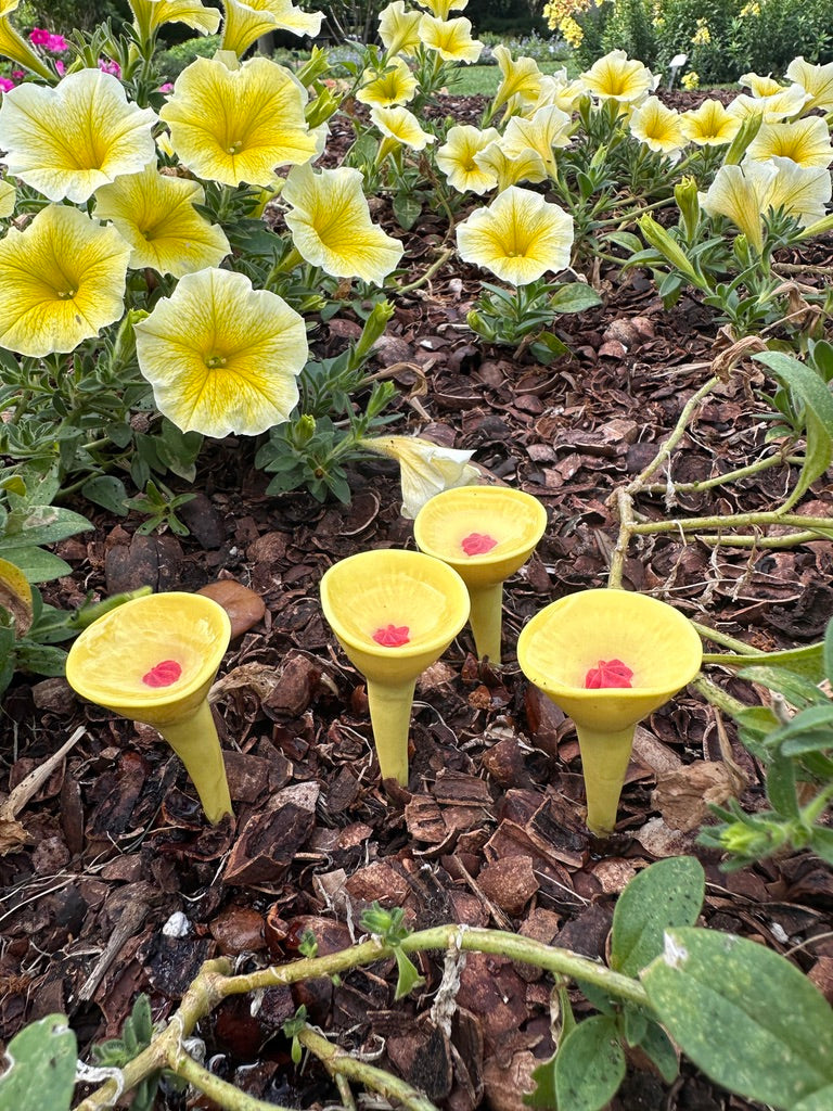 Bees Knees Yellow 5-pack