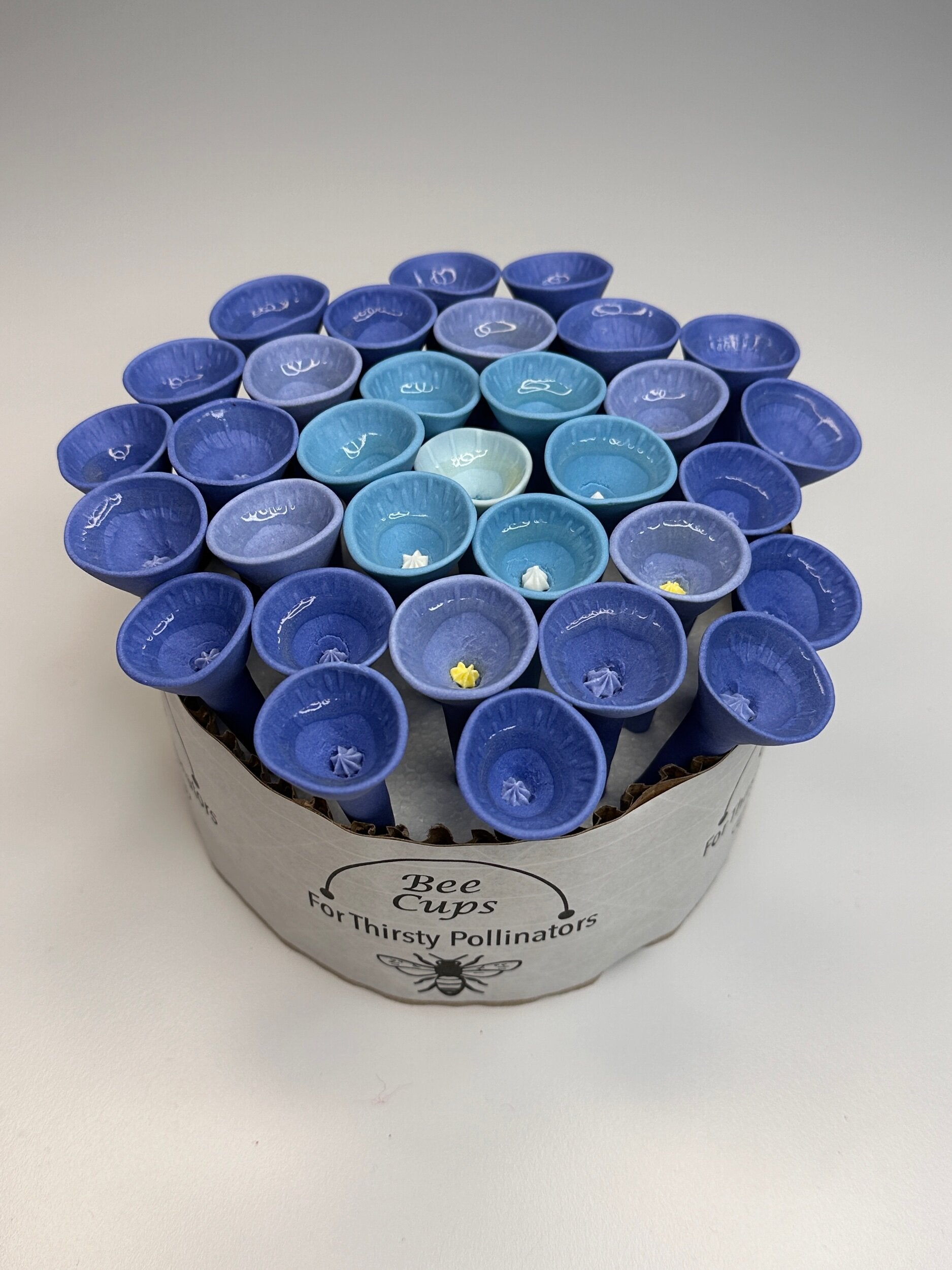 Blue and Turquoise Oasis