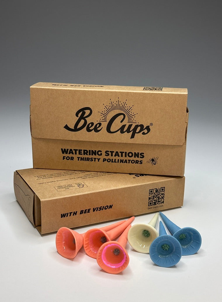 Beachy Bundle (extra value)