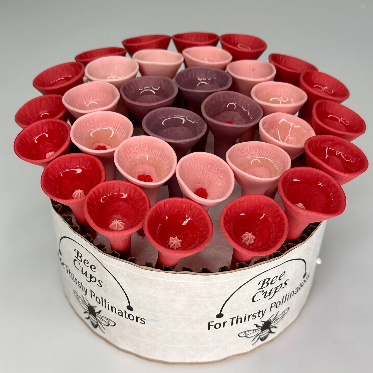 Butterfly Sweetheart Oasis