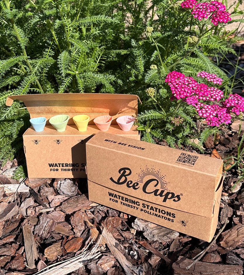 Pastel Variety Bee Cup 5-pack