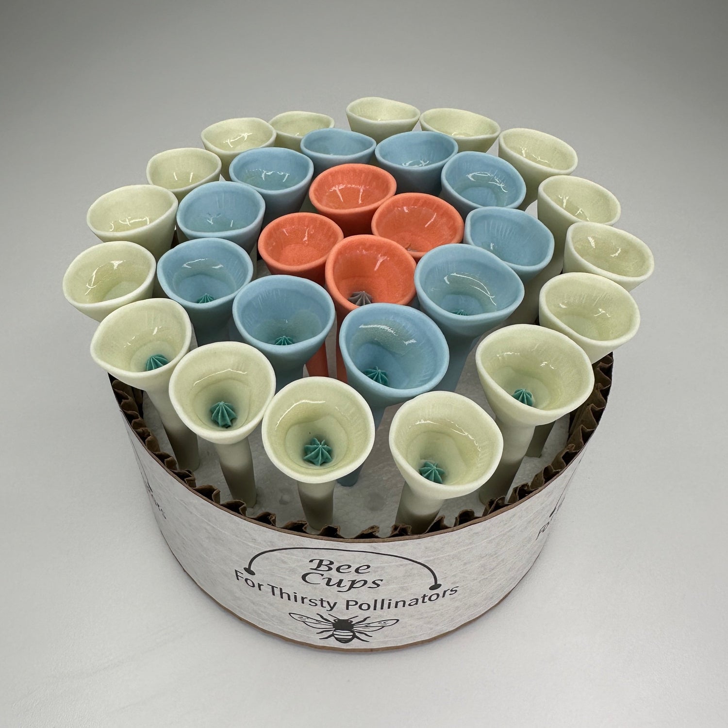 Eucalyptus and Orange Oasis