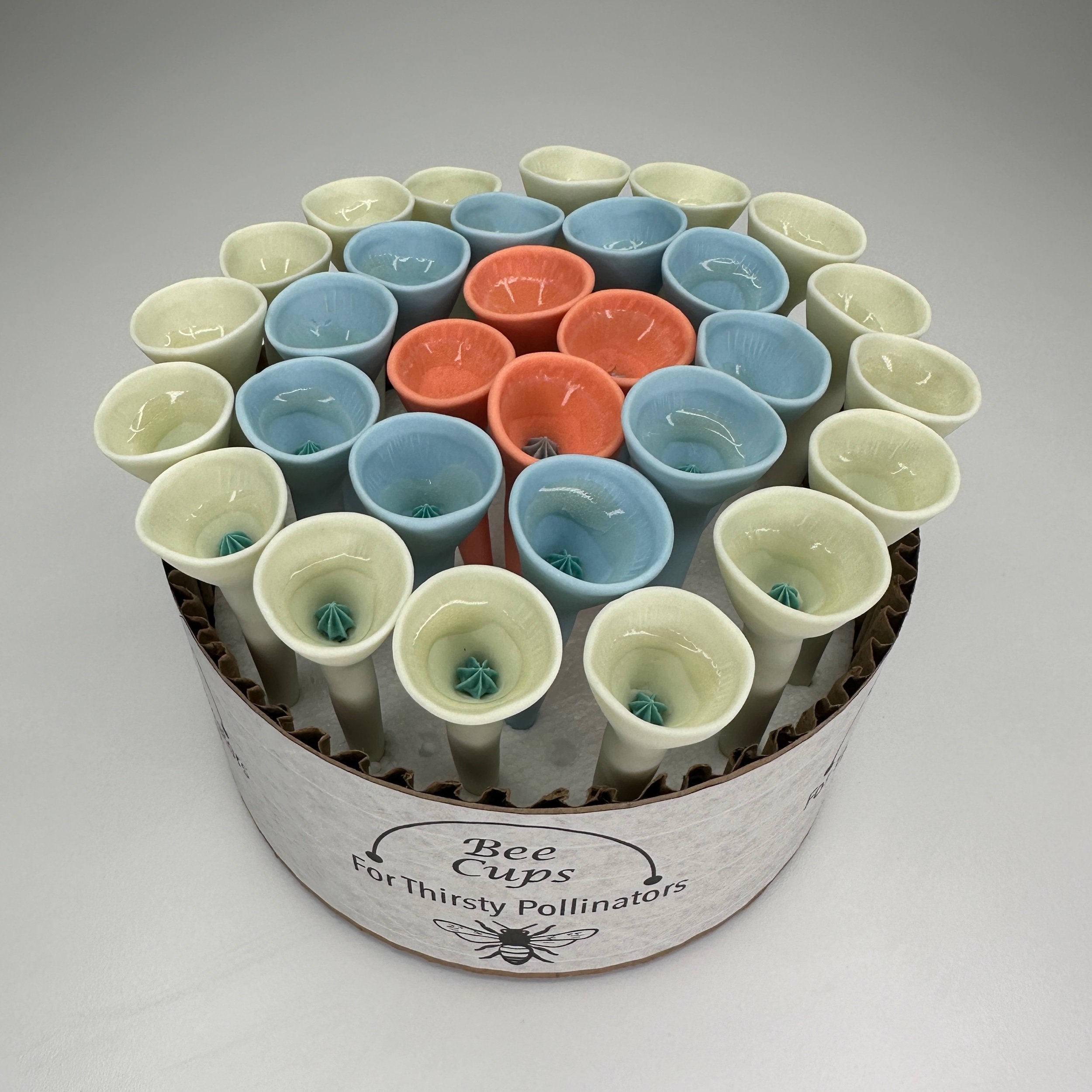 Eucalyptus and Orange Oasis