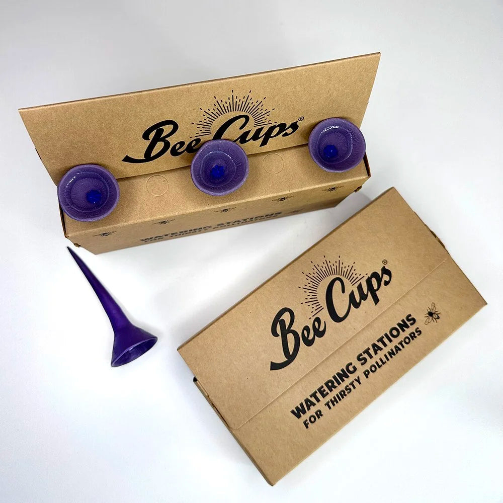 April Showers 3-pack