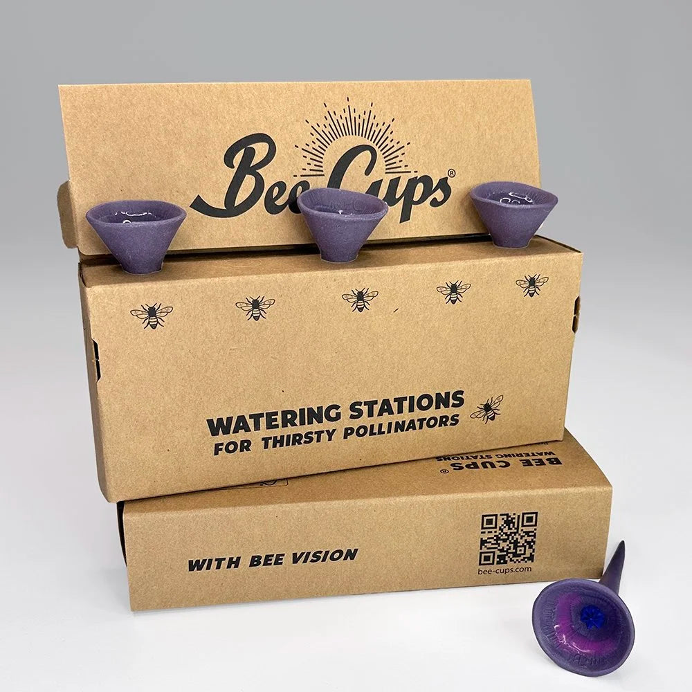 April Showers 3-pack