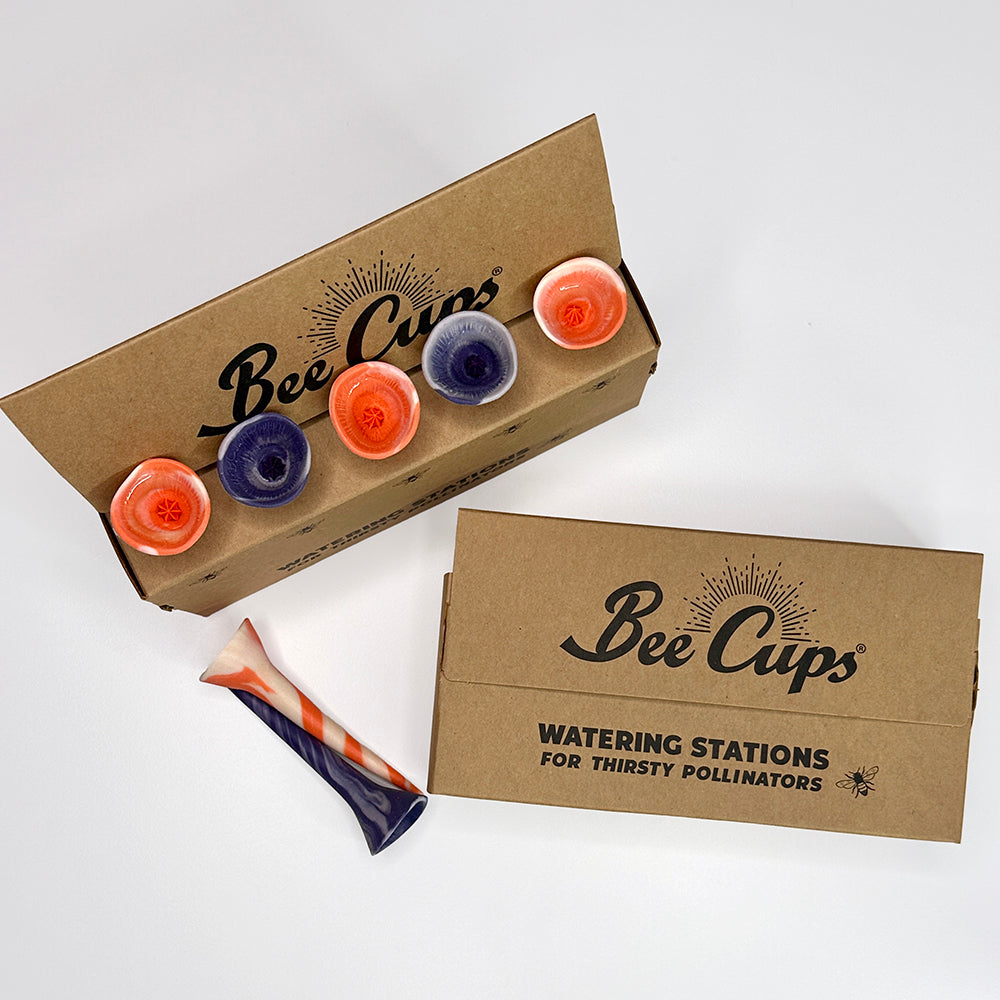 Autumn Winds Swirly Bee Cups