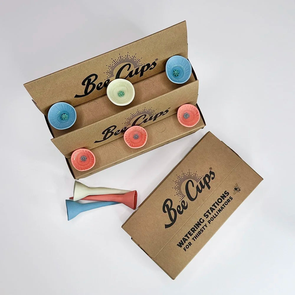 Beachy Bundle (extra value)