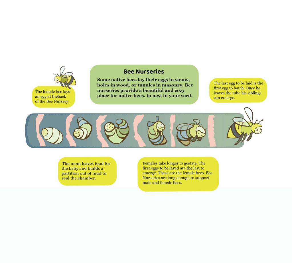 Native Bee Nurseries: 3-pack