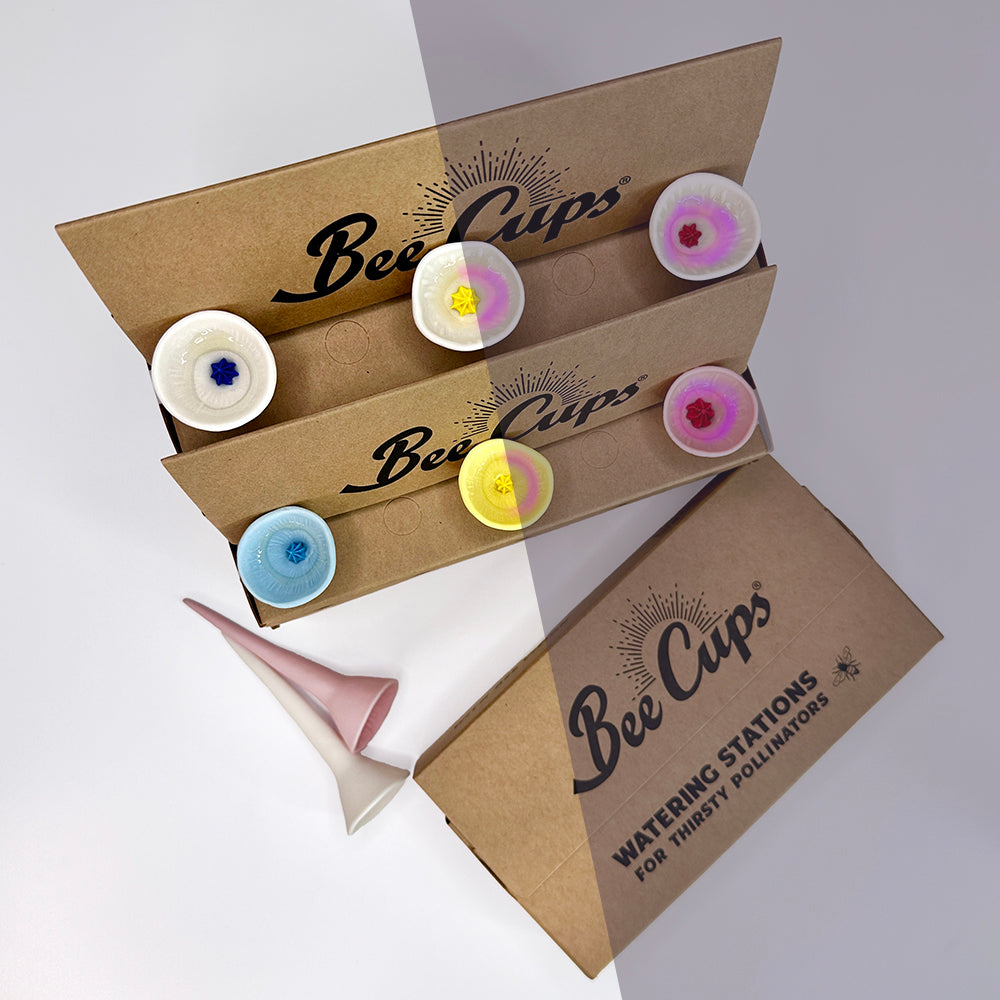 Best Sellers Double Bundle