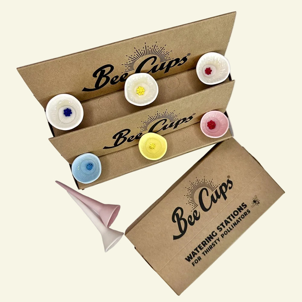 All Products – Bee Cups