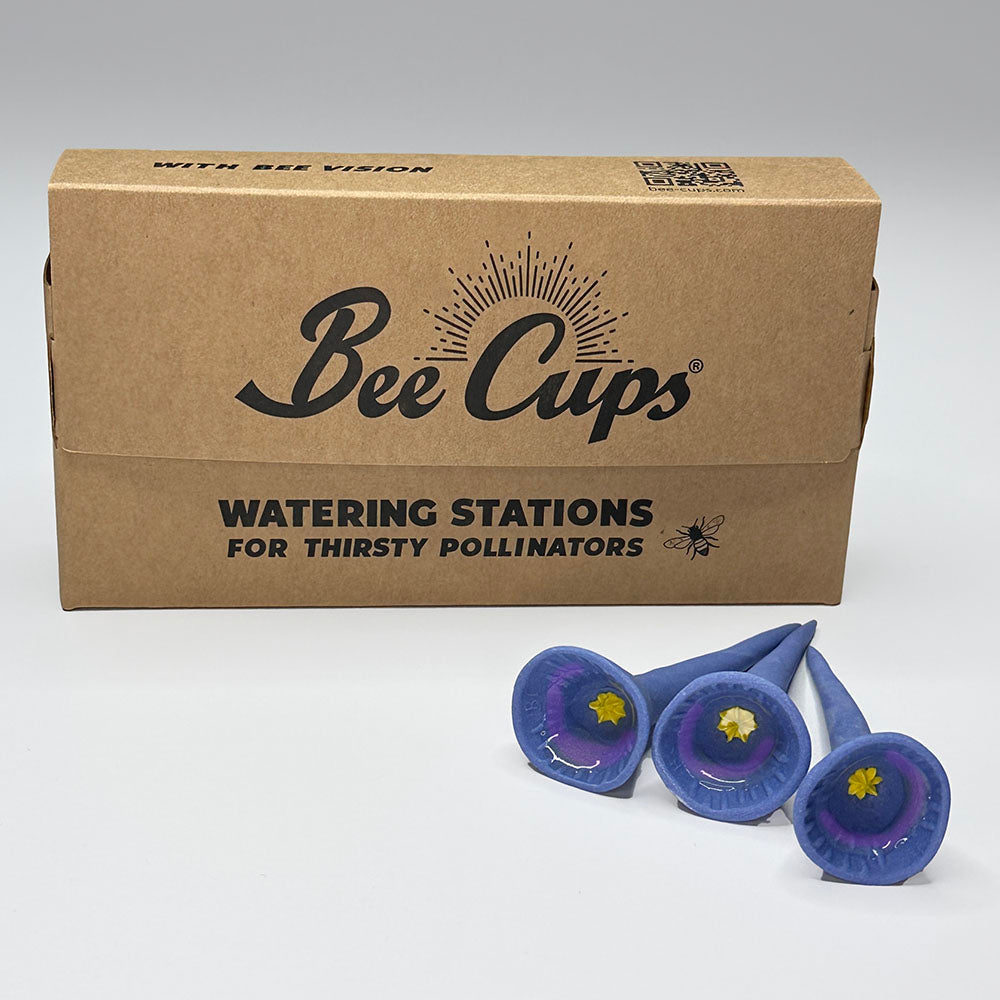 Bee Cups® solid 5-packs
