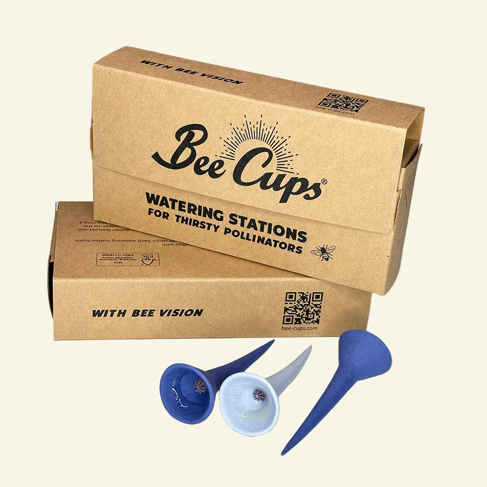Bluebonnet 3-pack