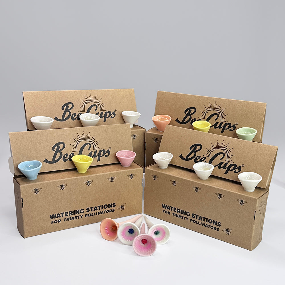 Best Sellers Double Bundle