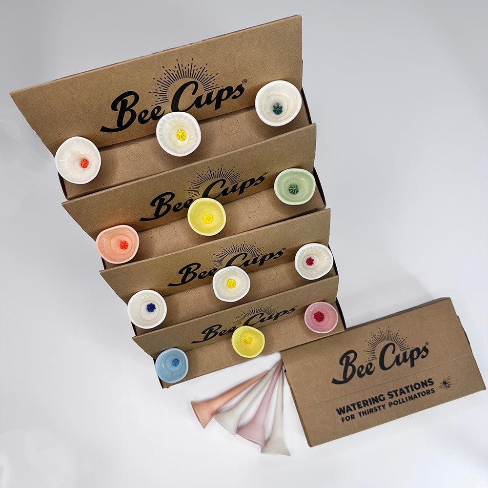 Best Sellers Double Bundle