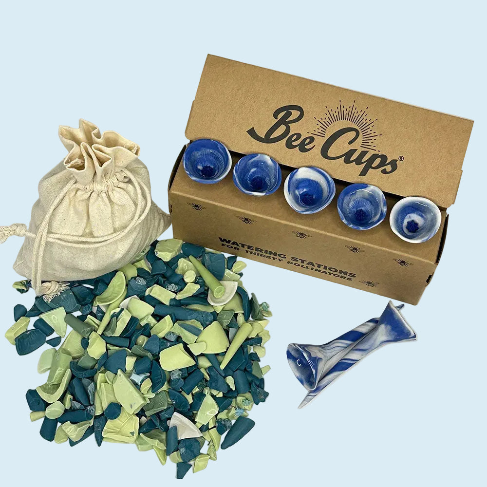 Earth Day Bee Cup Bundle