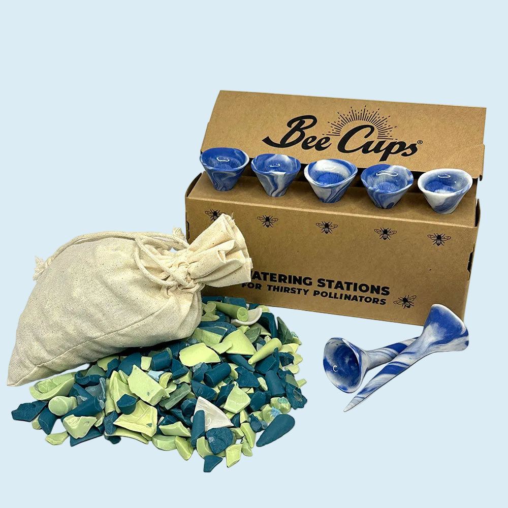 Earth Day Bee Cup Bundle