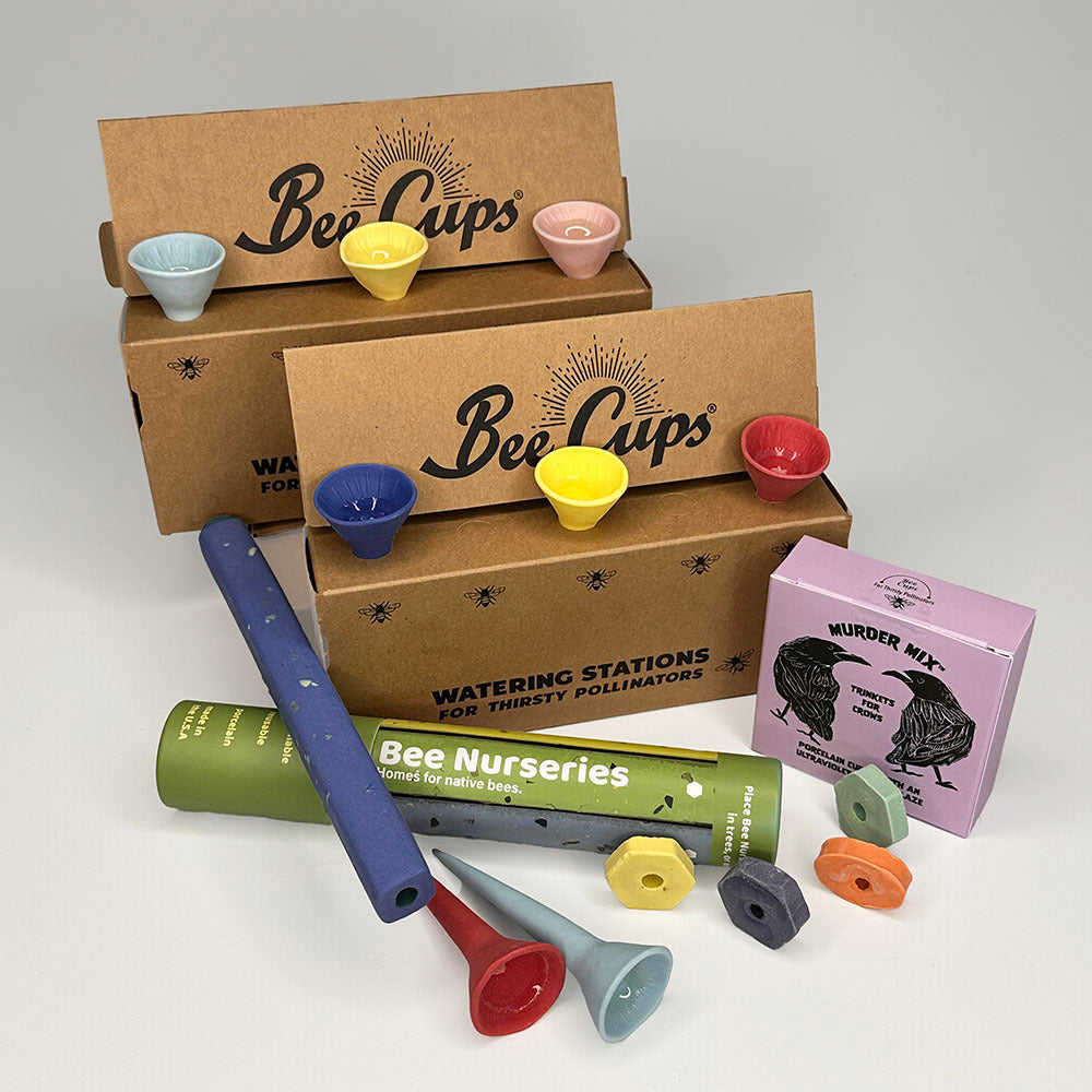 Essentials Gift Bundle