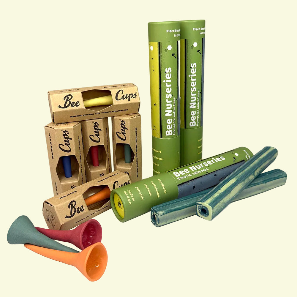 Back-to-School Bundle