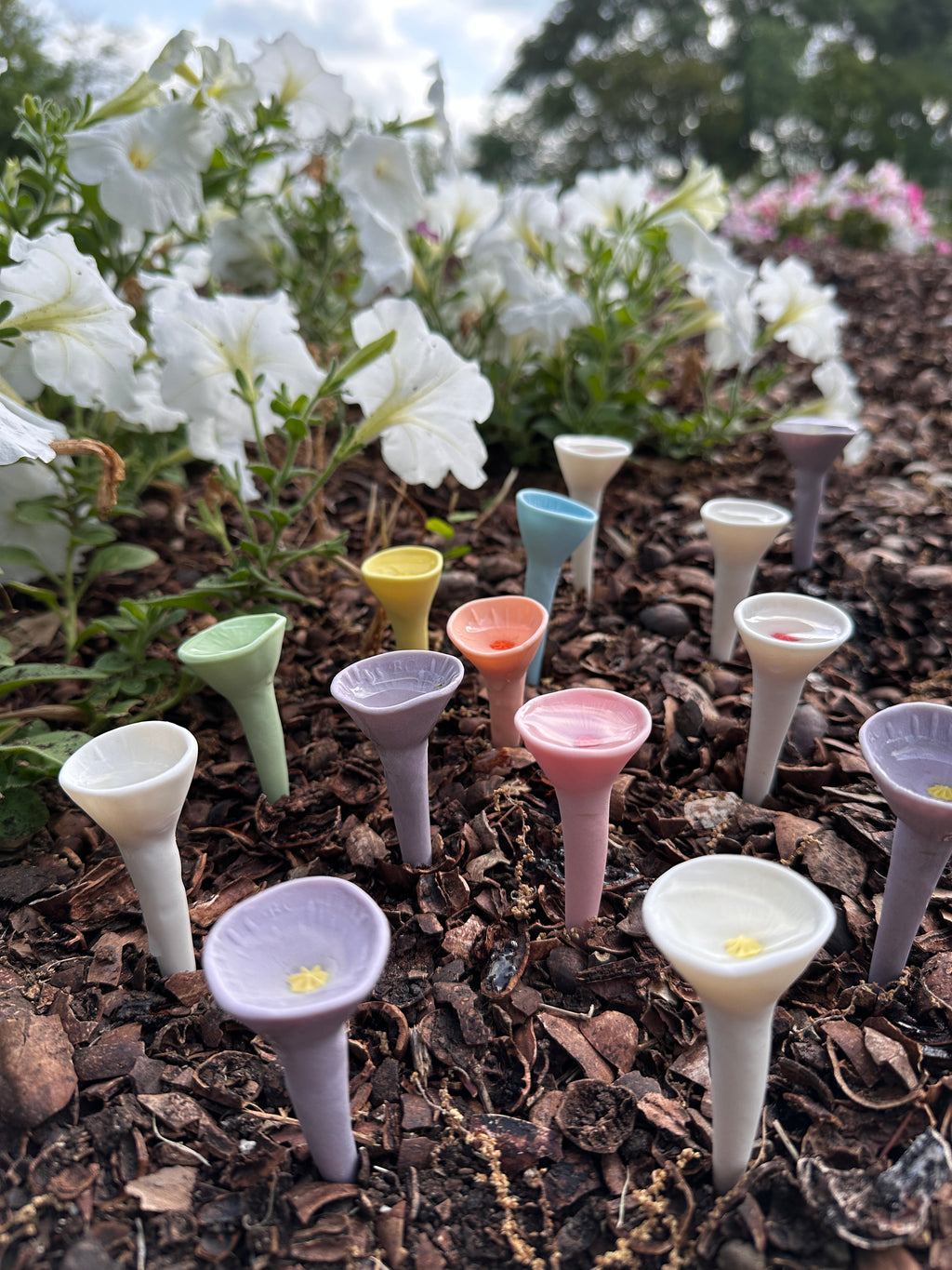 Pastel Variety Oasis