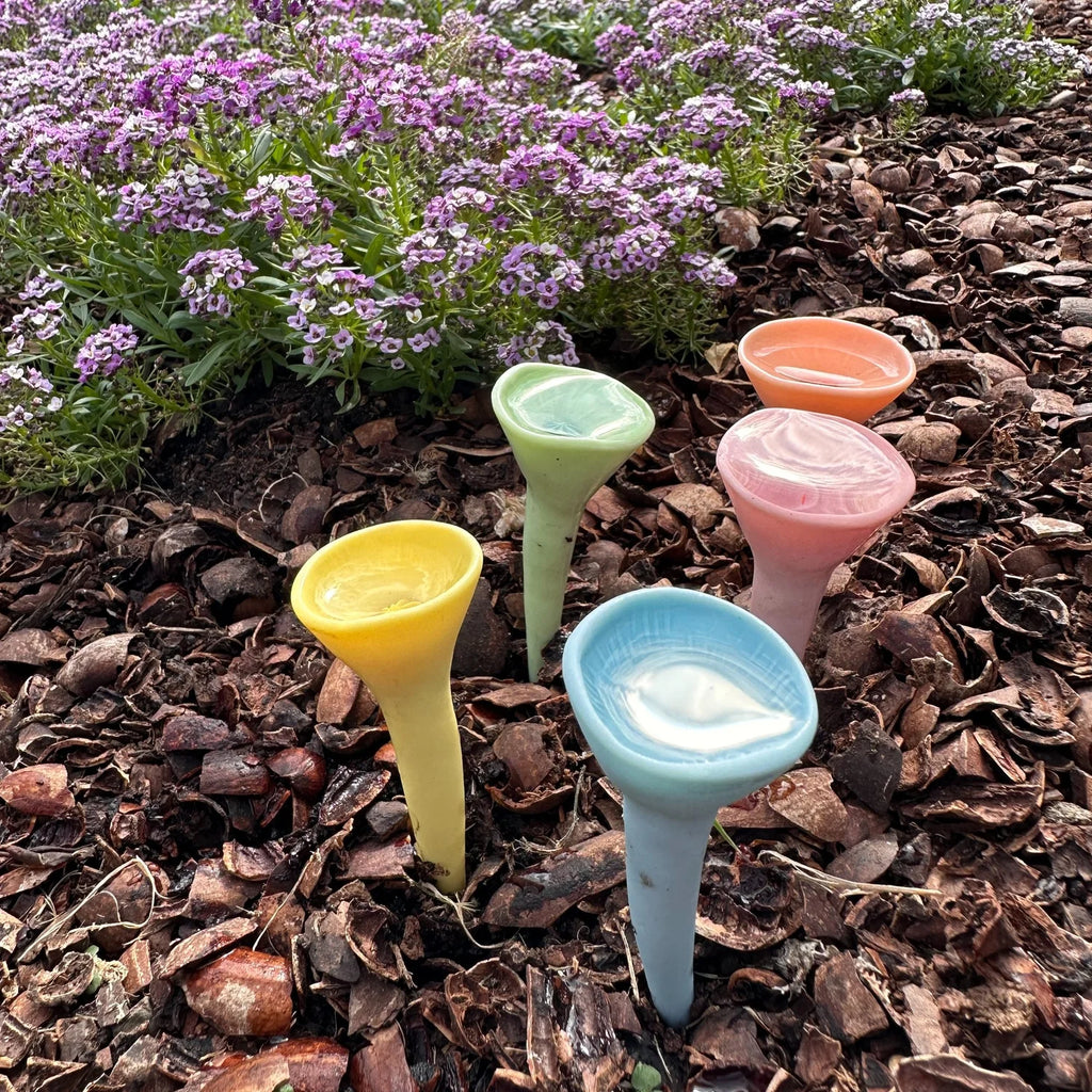 Pastel Variety Bee Cup 5-pack