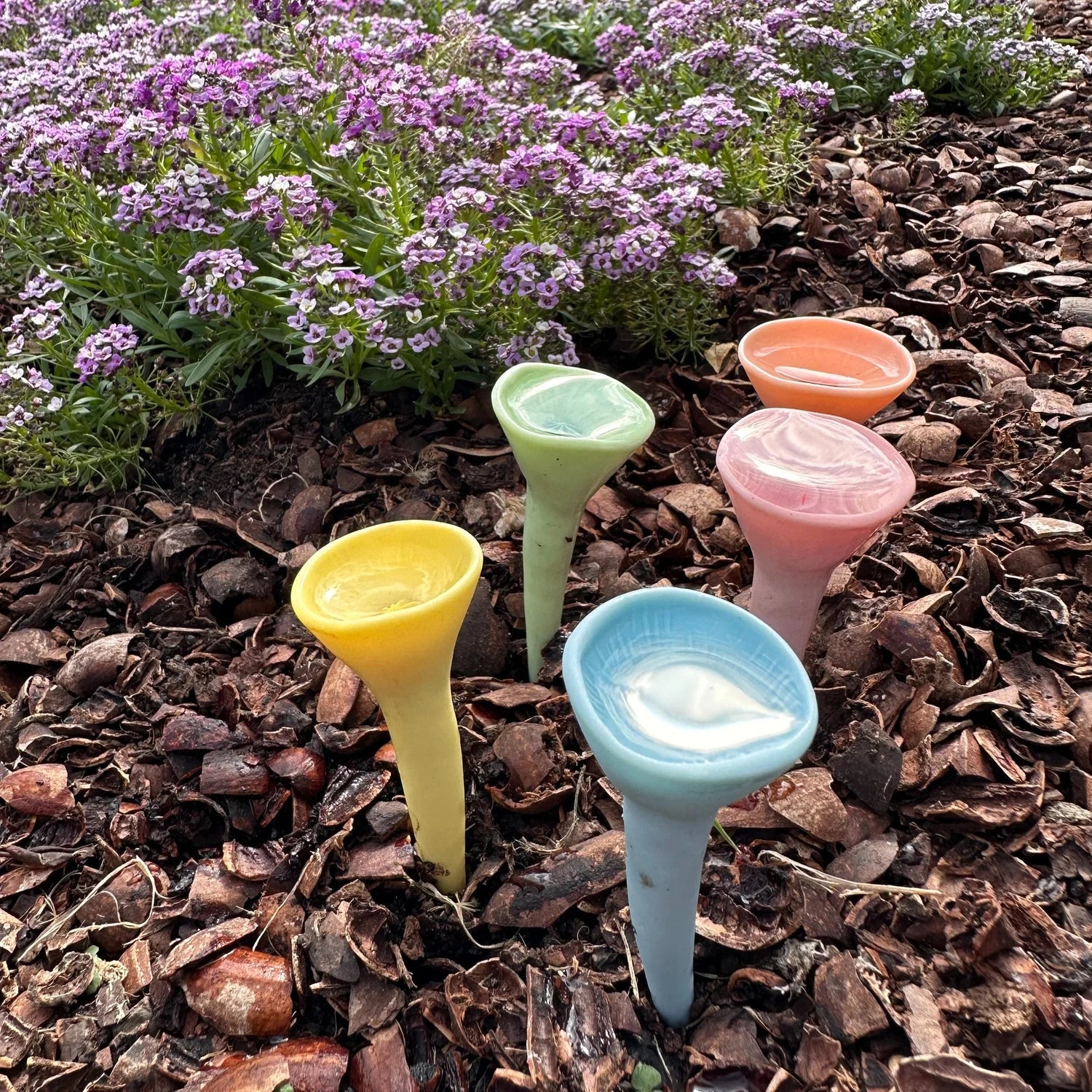 Pastel Variety Bee Cup 5-pack