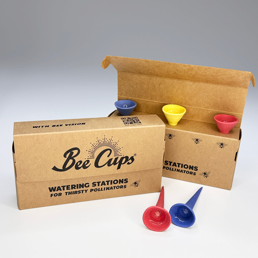 Bold Bee Cup 5-Pack