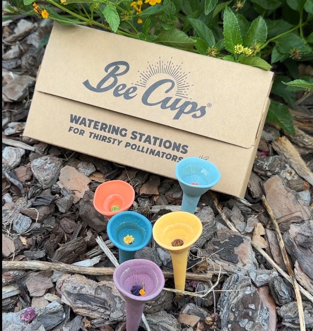 Fall Bee Cups™ Bundle