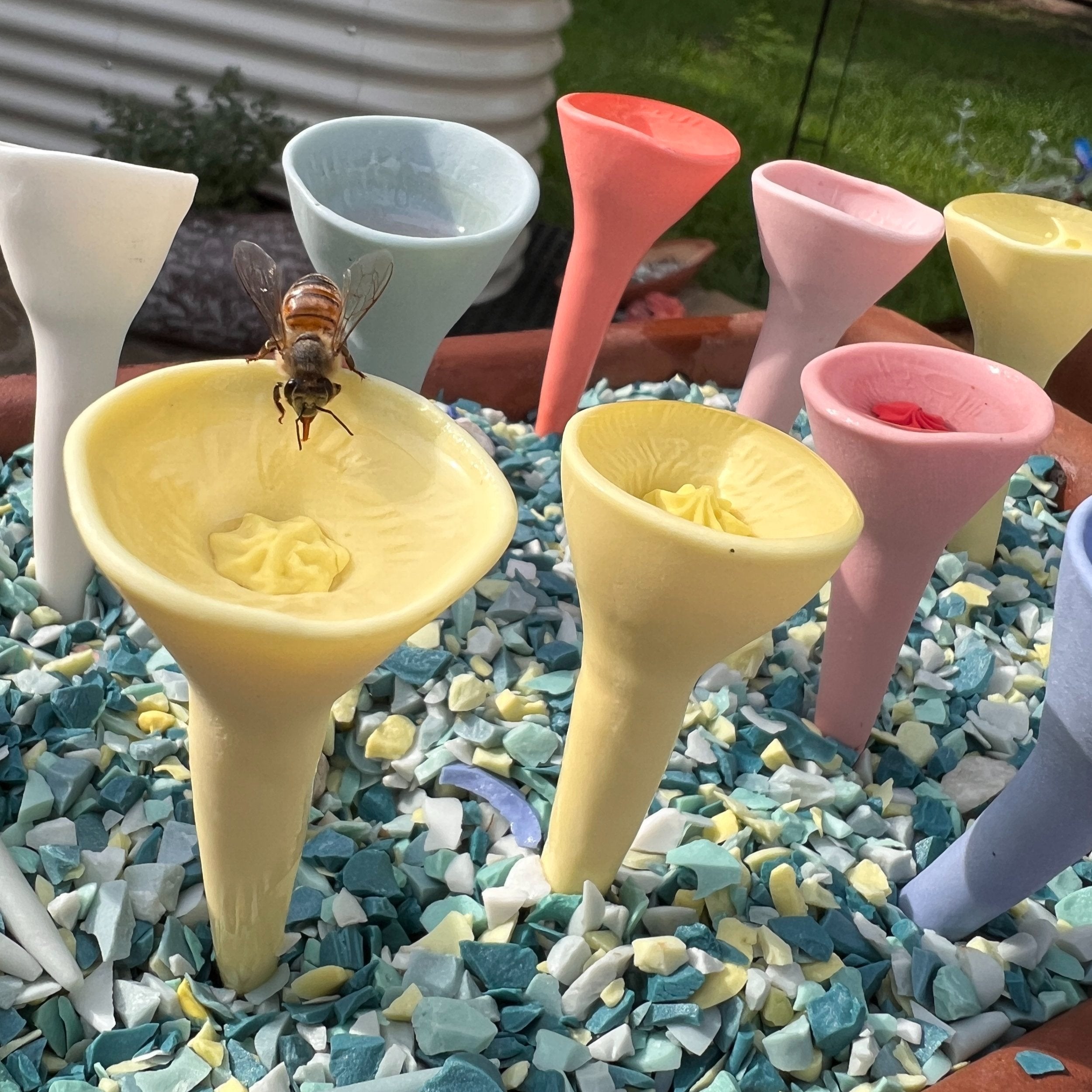 Pastel Variety Bee Cup 5-pack
