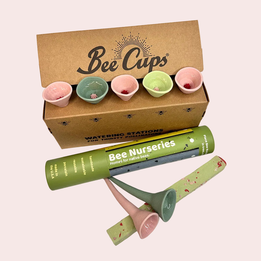 Bundles – Bee Cups