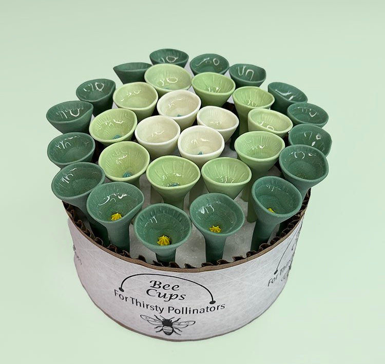 Lucky Green and White Oasis