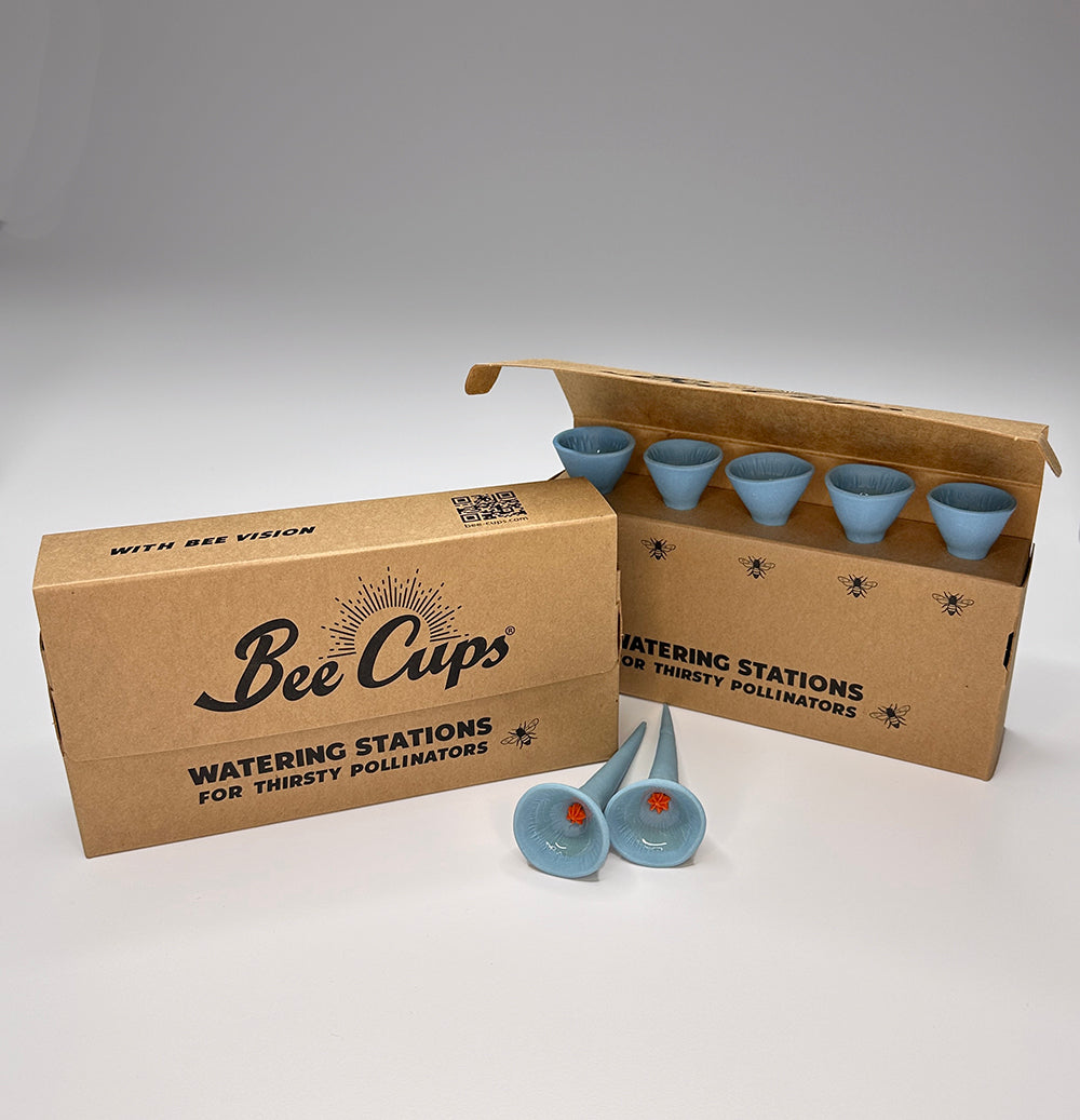 Bee Cups® solid 5-packs