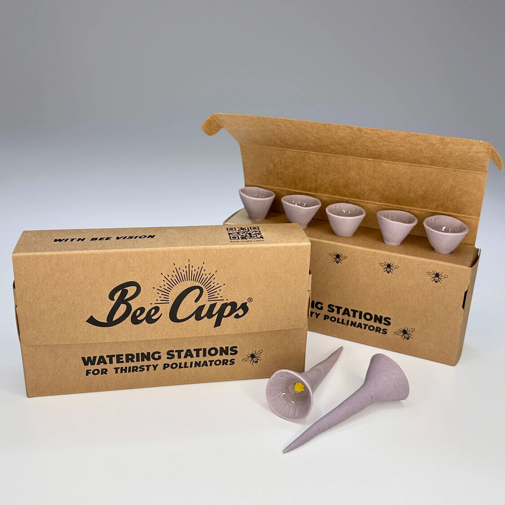 Passion Flower 5-pack