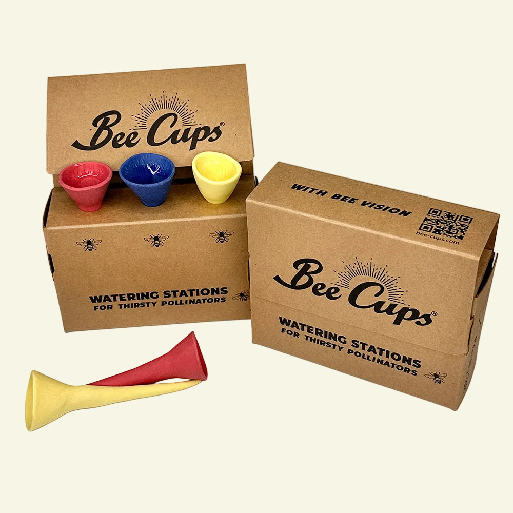 Primary 3-pack