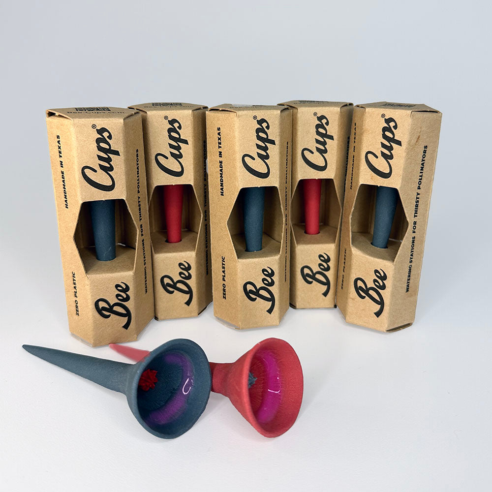 Winter Holly Singles 5-pack