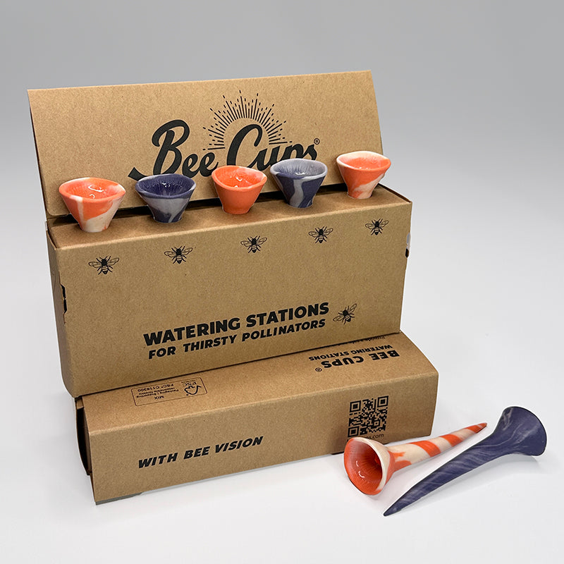 Autumn Breeze 5-pack