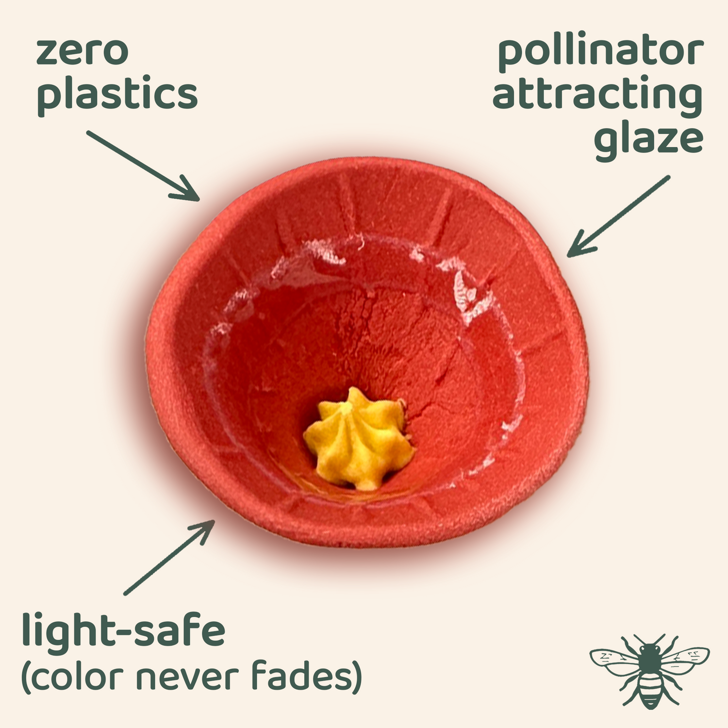 Butterfly Special 5-pack