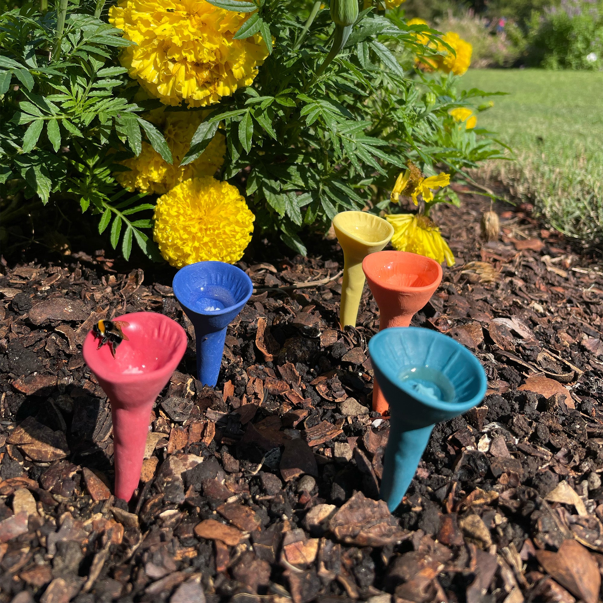 Essentials Gift Bundle – Bee Cups