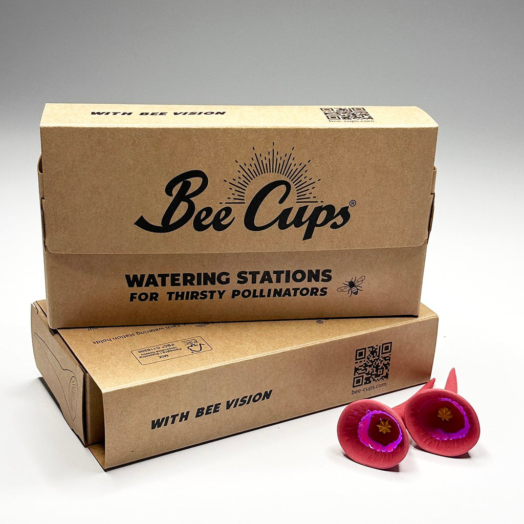 Butterfly Special 5-pack