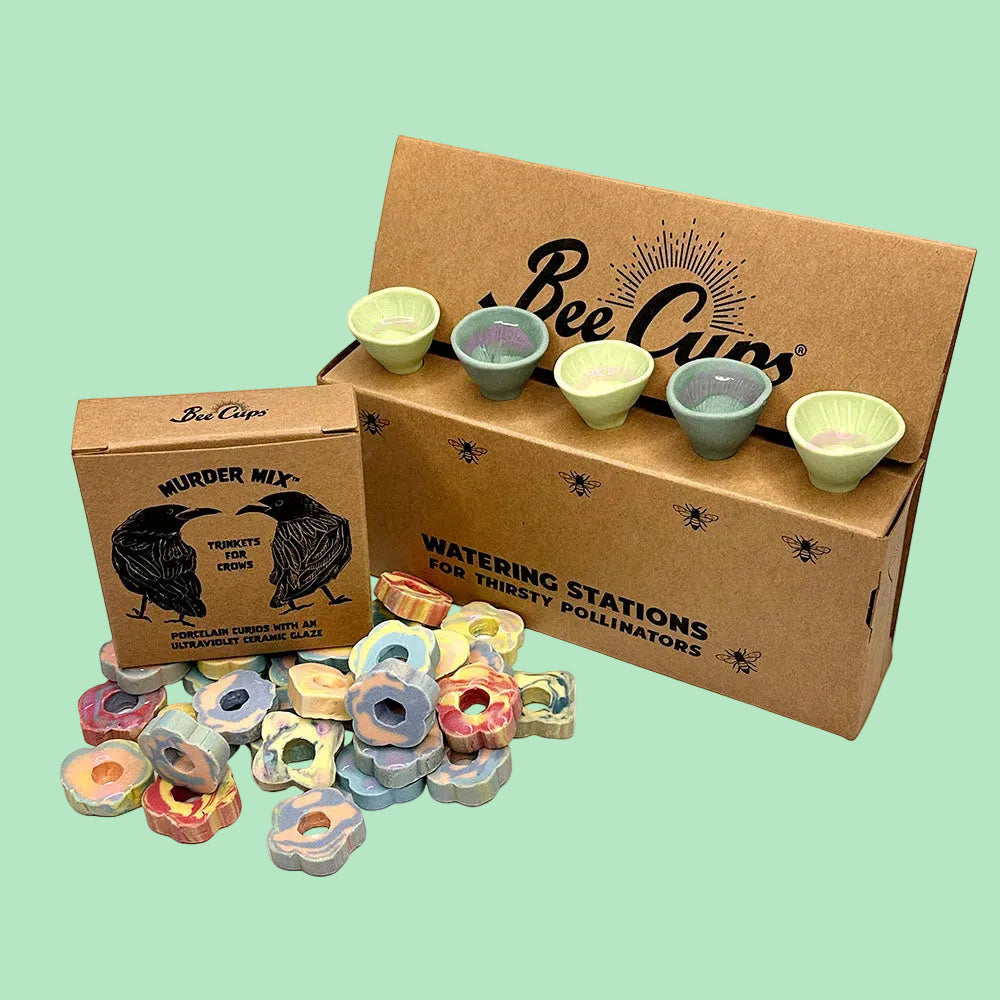 Clover and Crow Bundle