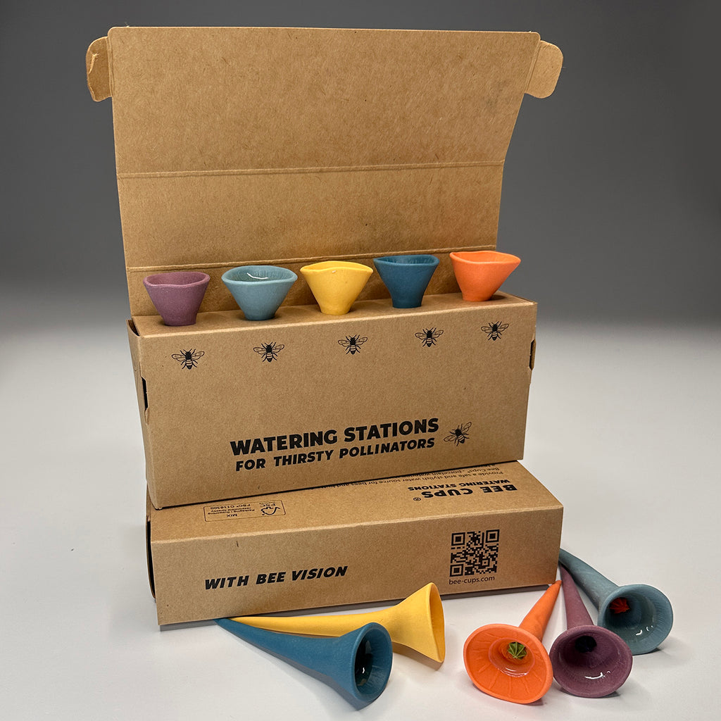 Fall Bee Cups™ Bundle