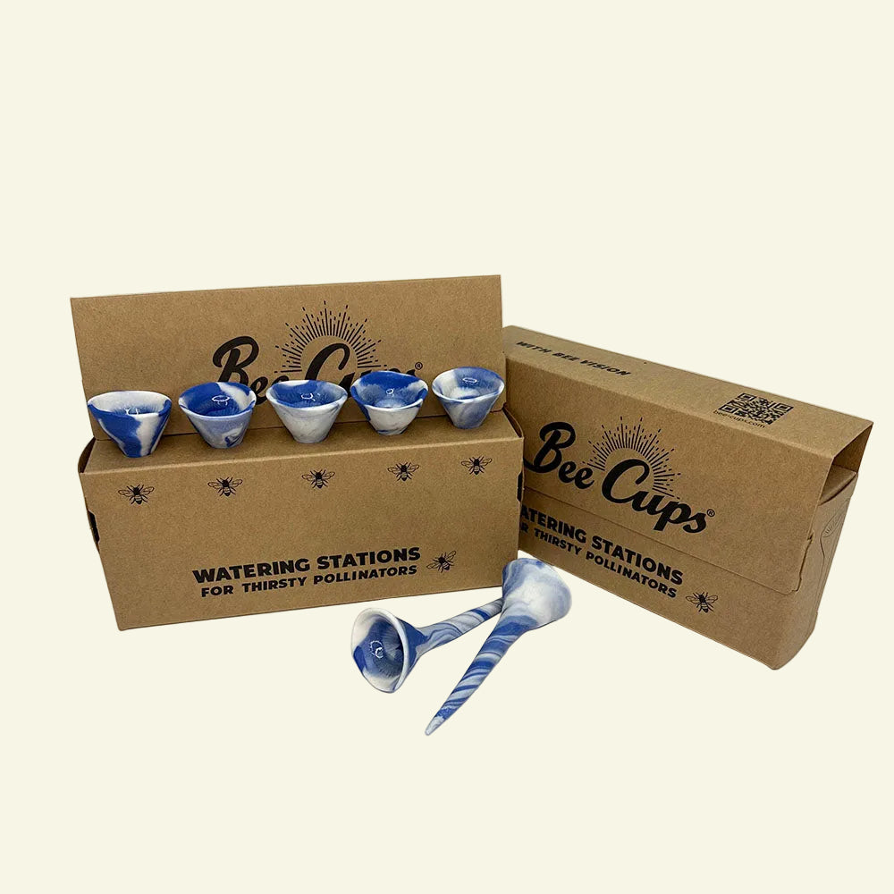 Partly Cloudy Bee Cups