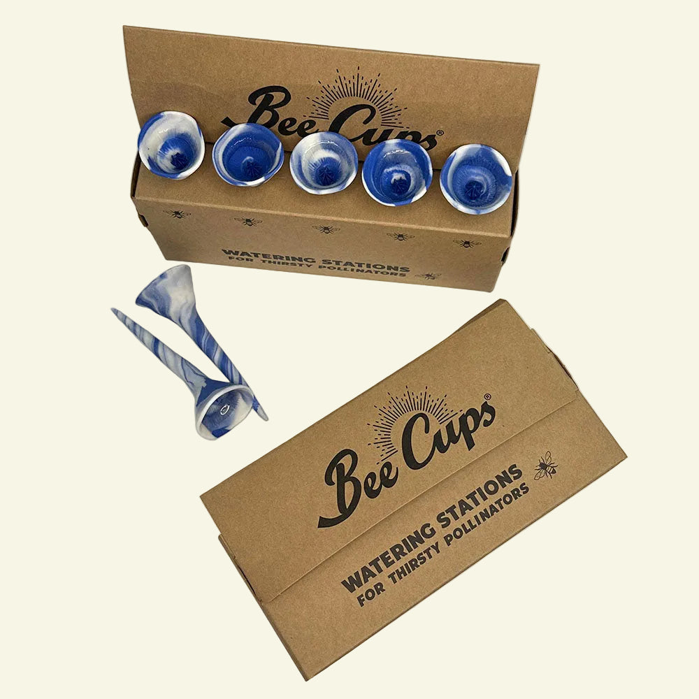 Partly Cloudy Bee Cups