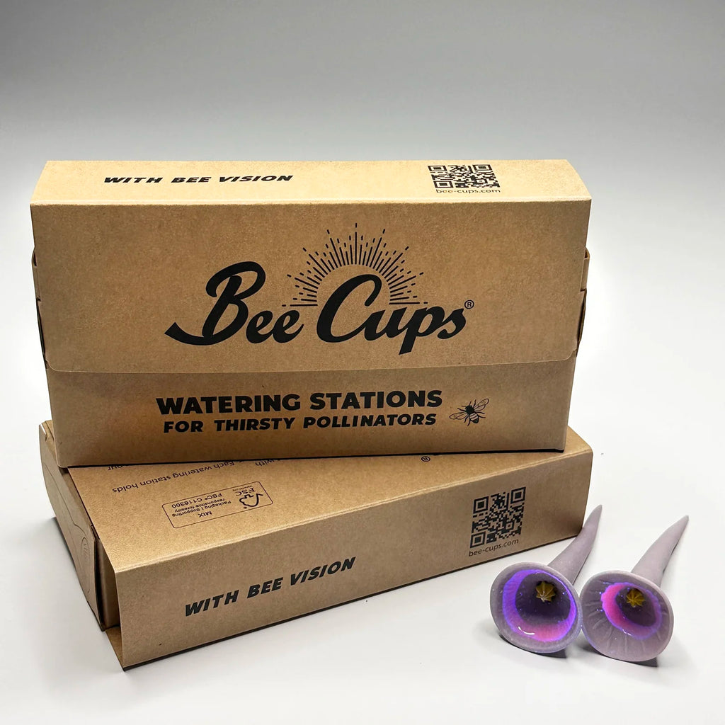 Passion Flower 5-pack