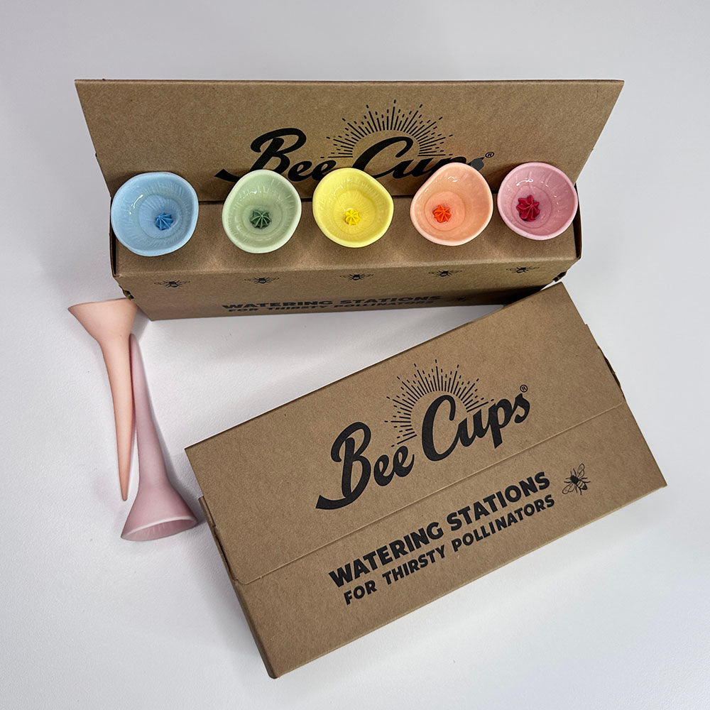 Bee Cups® 5-pack Collections