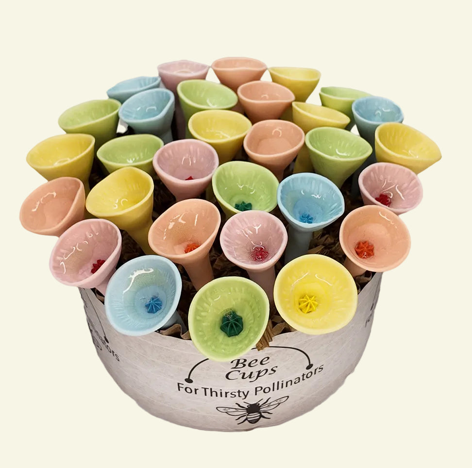 ヒップホップ+ラップ DUBBLE O BEEZ/FIRST ORDER OF BEEZNESS Bee Cups Oases (30-count)