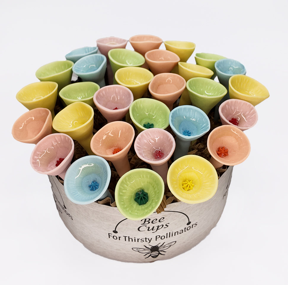 Pastel Variety Oasis