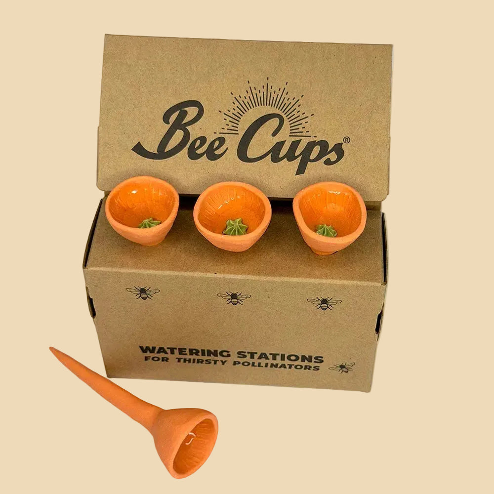 Pumpkin Patch 3-pack